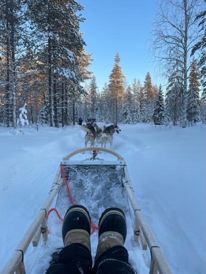 A picture containing snow, outdoor, tree, transport

Description automatically generated